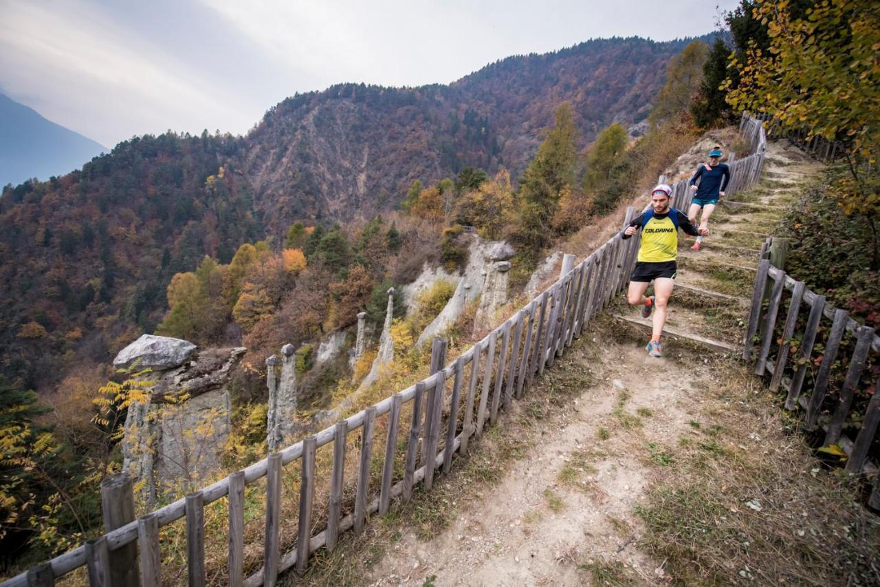 Appartamento Il Nido Tra Verde E Natura Berbenno di Valtellina المظهر الخارجي الصورة
