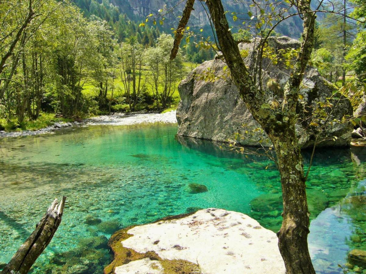 Appartamento Il Nido Tra Verde E Natura Berbenno di Valtellina المظهر الخارجي الصورة
