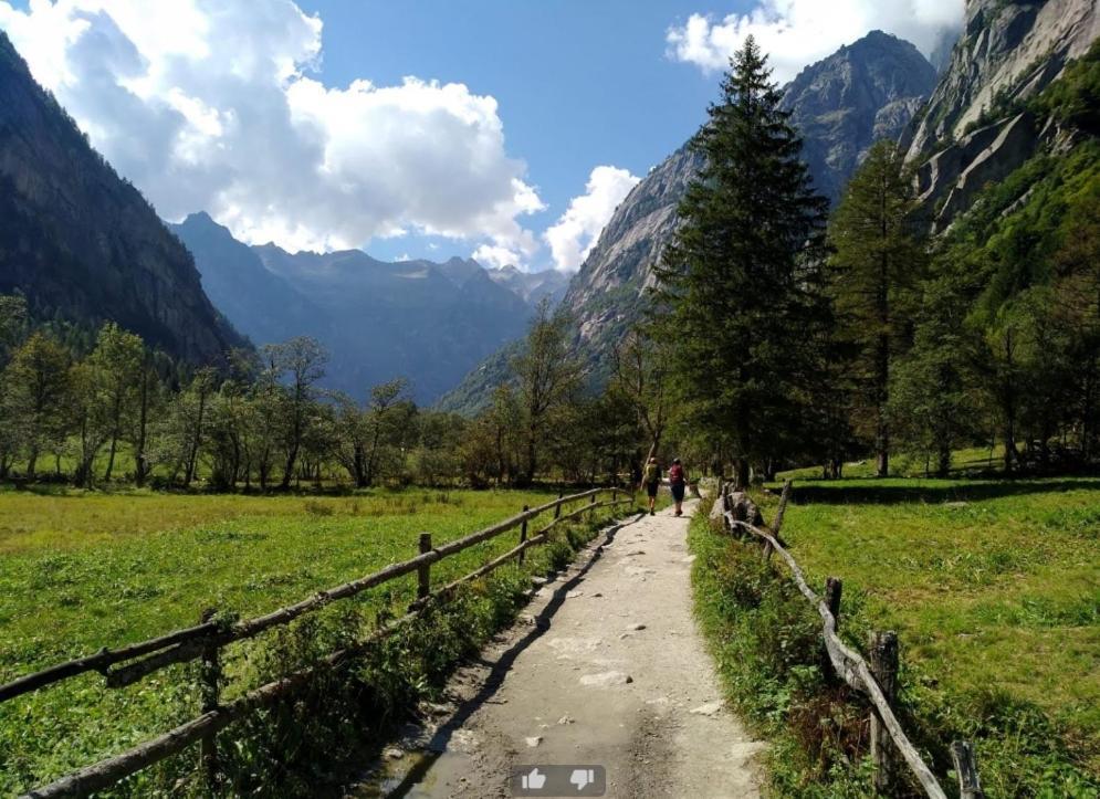 Appartamento Il Nido Tra Verde E Natura Berbenno di Valtellina المظهر الخارجي الصورة